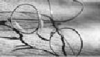 eye glasses